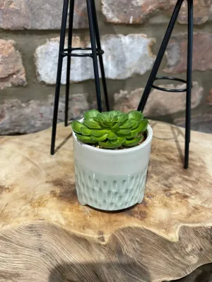 Artificial Succulent in Pot One