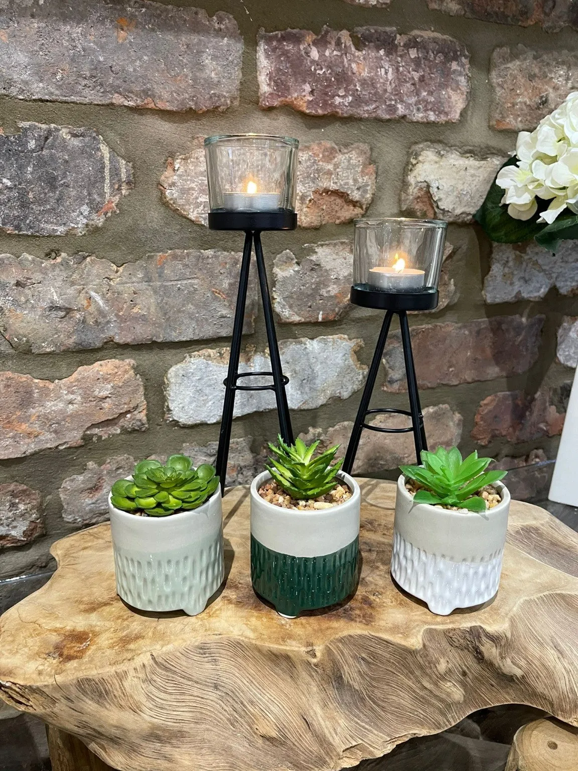Artificial Succulent in Pot Three