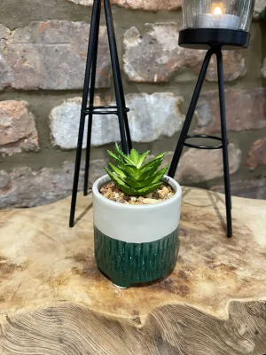 Artificial Succulent in Pot Three