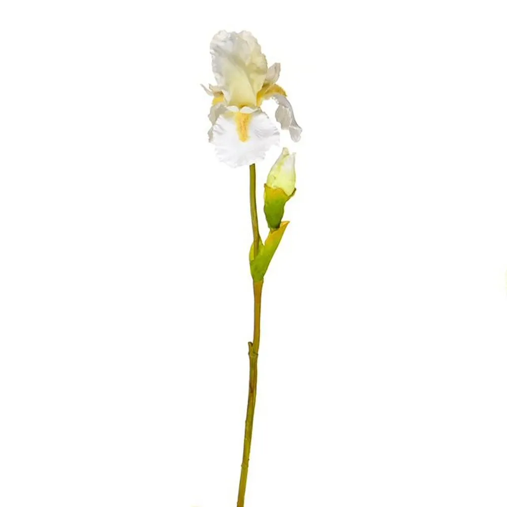 CB Imports 79cm Cream & White Artifical Iris Stem