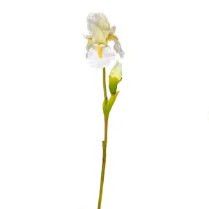 CB Imports 79cm Cream & White Artifical Iris Stem