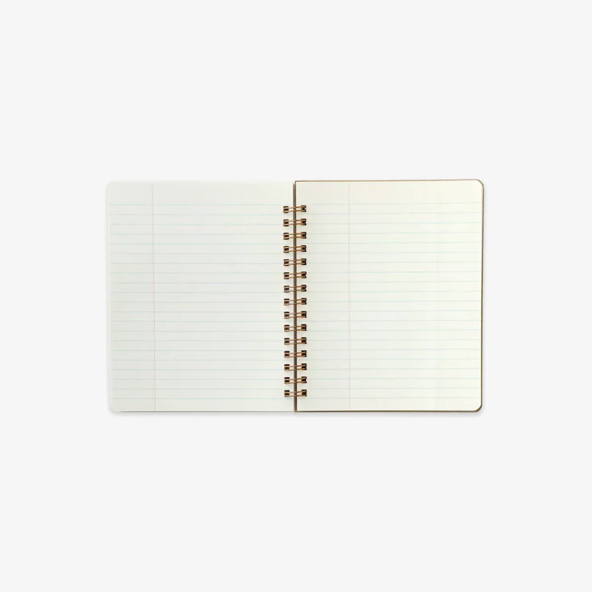 COIL NOTEBOOK S // MINT