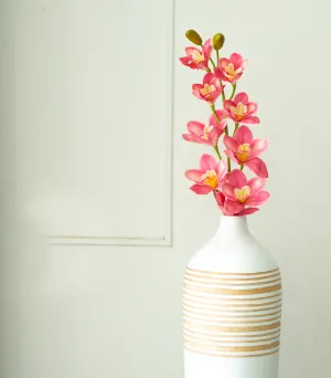Cymbidium Orchid Dark Pink