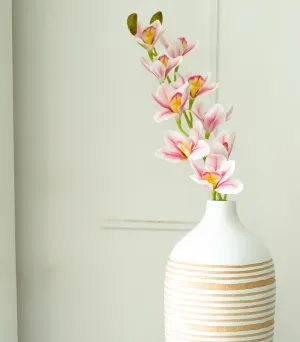 Cymbidium Orchid Light Pink