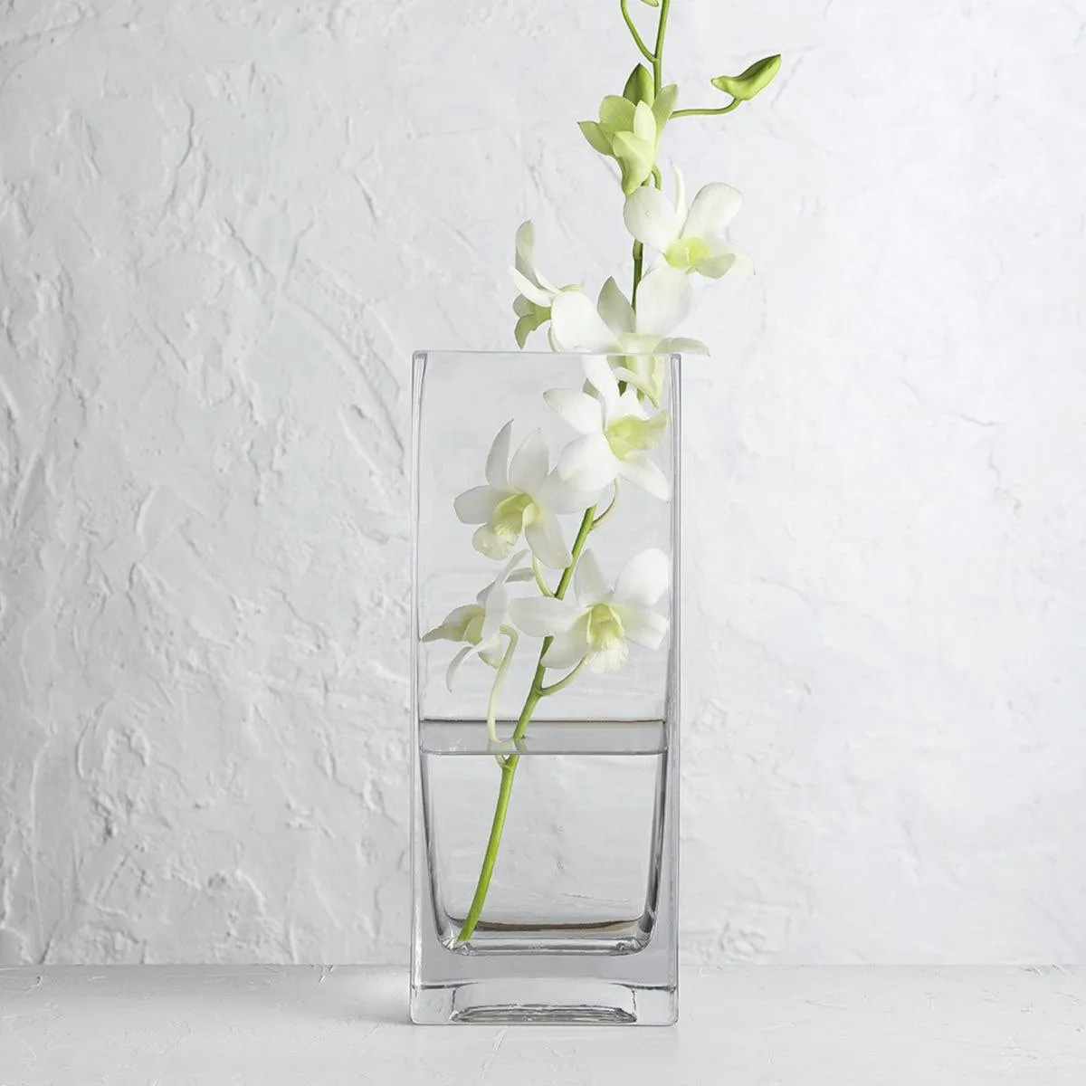 Ecology Fleur  Square Vase  25cm