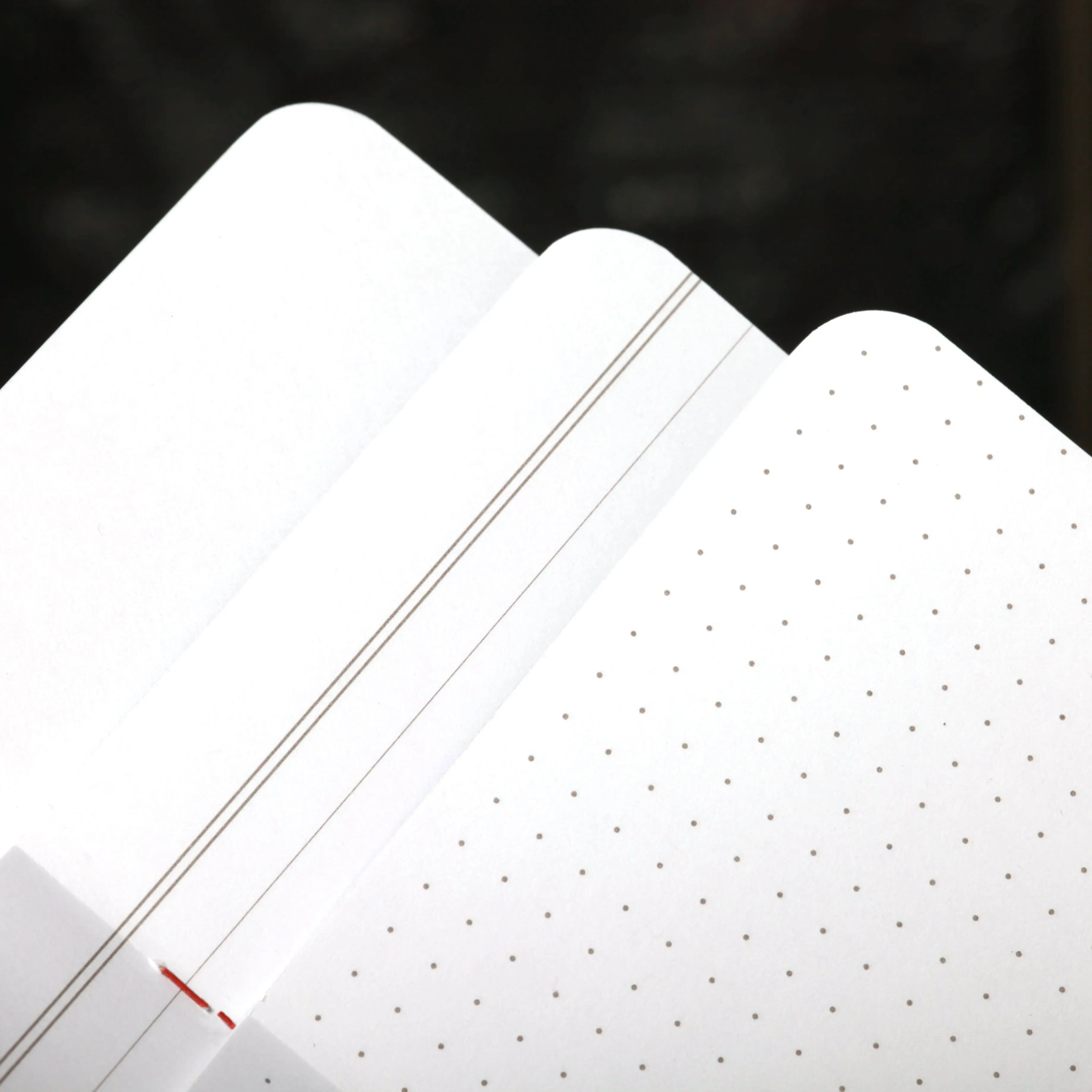 Field Notes Spring 2024 Limited Edition Flora Notebooks [3 pack]