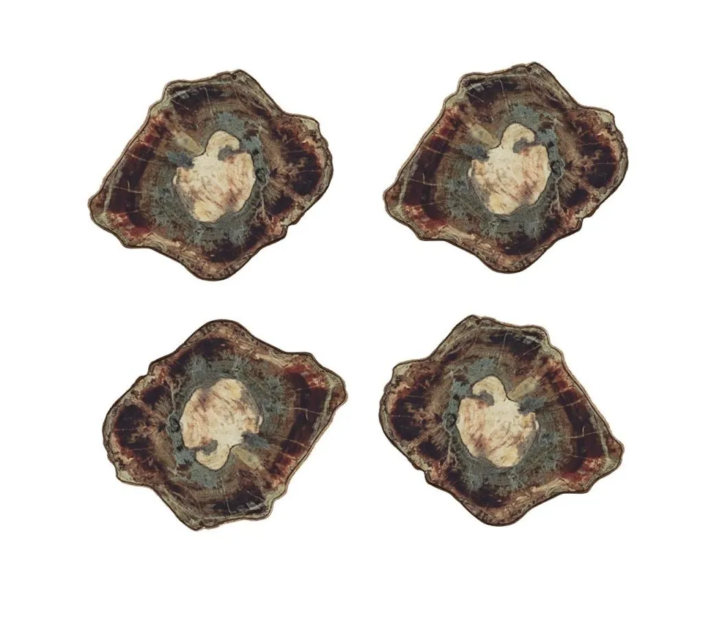 Fossil Drink Coasters in Multi, Set of 4 in a Gift Box