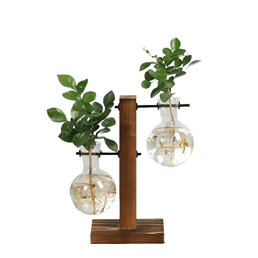 Hydroponic Plant Vases