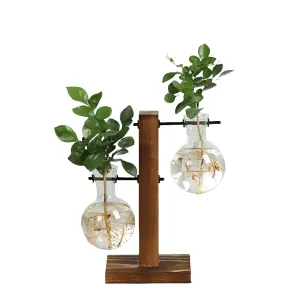 Hydroponic Plant Vases