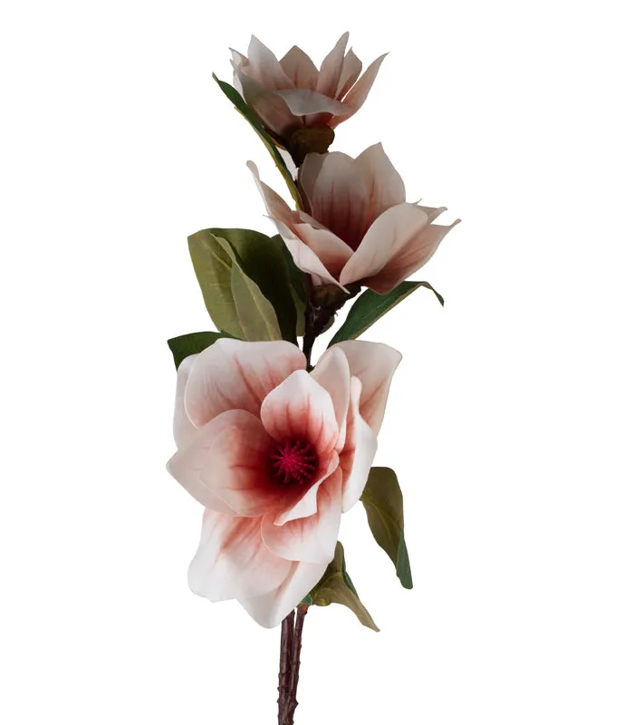 Magnolia Tri- Light Pink