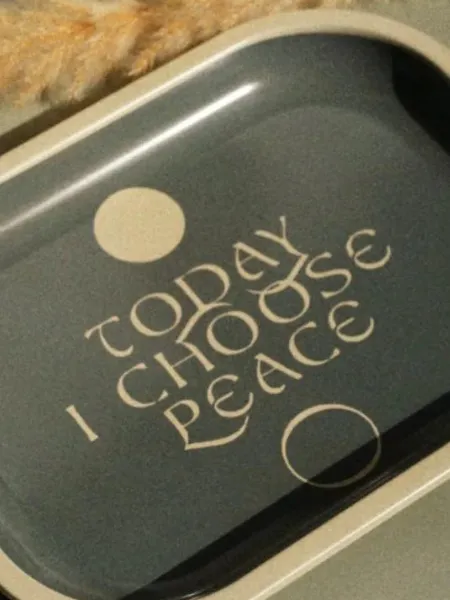 REAL FUN, WOW! TODAY I CHOOSE PEACE TIN TRAY