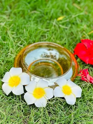 Relanta Flower Round Shape Glass Vase,Urli Bowl Terrarium Succulent Planter,Air Plant Display,Decorative Centerpiece Floral Container for Home Or Wedding Set of 1,Lxbxh-19.5 x 9 x 19.5 (Gold)
