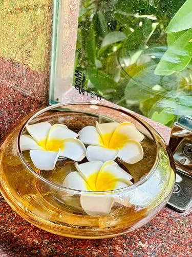 Relanta Flower Round Shape Glass Vase,Urli Bowl Terrarium Succulent Planter,Air Plant Display,Decorative Centerpiece Floral Container for Home Or Wedding Set of 1,Lxbxh-19.5 x 9 x 19.5 (Gold)