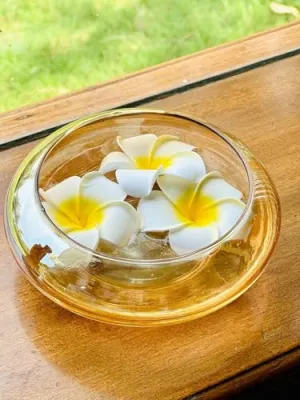 Relanta Flower Round Shape Glass Vase,Urli Bowl Terrarium Succulent Planter,Air Plant Display,Decorative Centerpiece Floral Container for Home Or Wedding Set of 1,Lxbxh-19.5 x 9 x 19.5 (Gold)