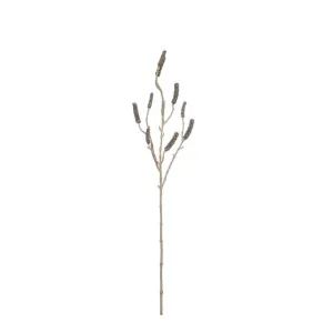 Rogue Callistemon Branch 16x12x89cm Brown