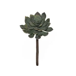 Rogue Lotus Echeveria Stem 12x12x18cm Grey/Green