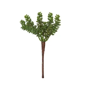 Rogue Sandflower 13x13x22cm Green