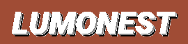 LumoNest - Modern Room Accessories, Kitchen Goods & Creative Gifts